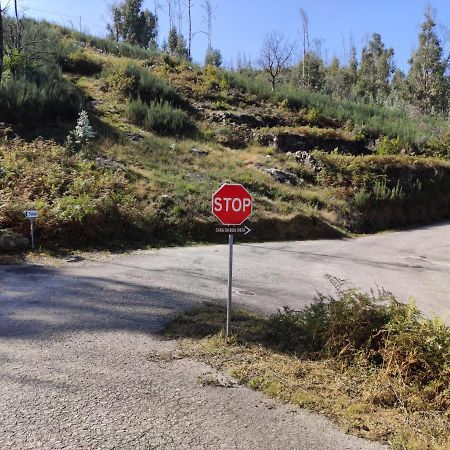 Casa Da Boa Vista Em Viadal Villa Vale de Cambra Eksteriør billede