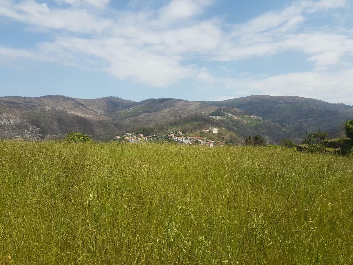 Casa Da Boa Vista Em Viadal Villa Vale de Cambra Eksteriør billede