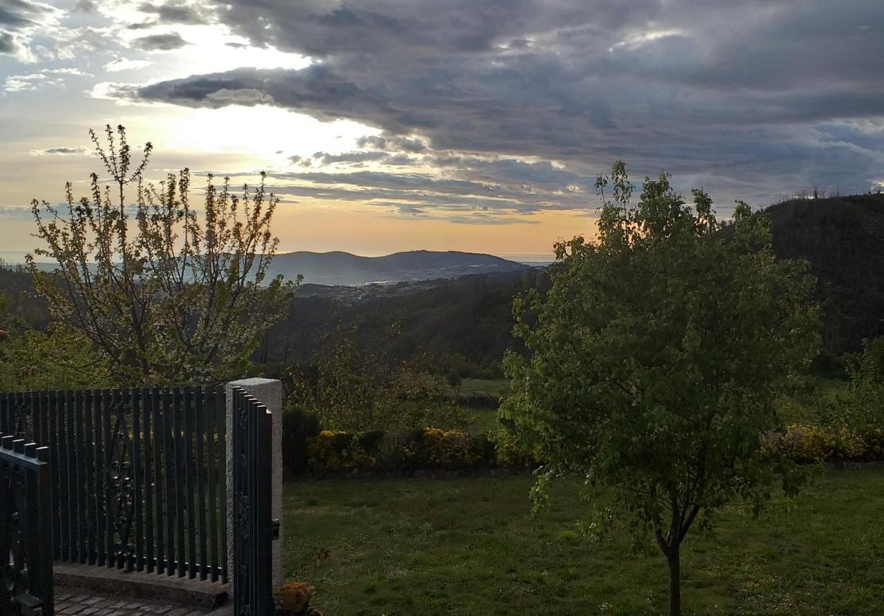 Casa Da Boa Vista Em Viadal Villa Vale de Cambra Eksteriør billede